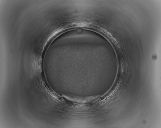 X0000101151174200806270936