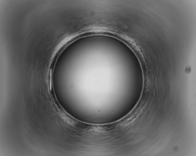 X0000101151175200806270936