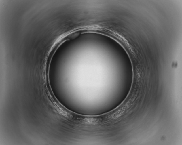 X0000101151176200806270936