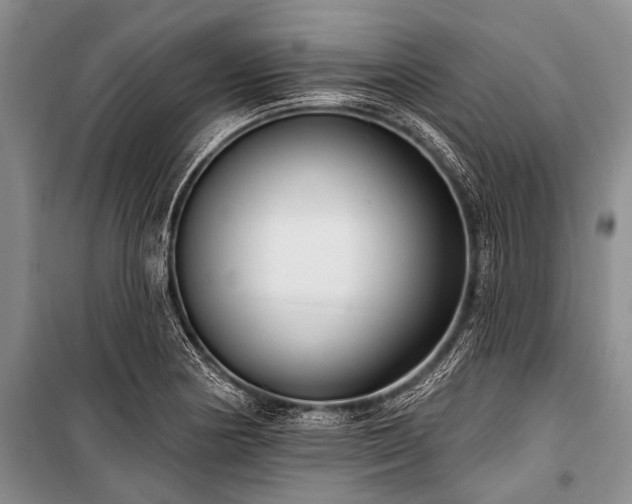 X0000101151178200806270936