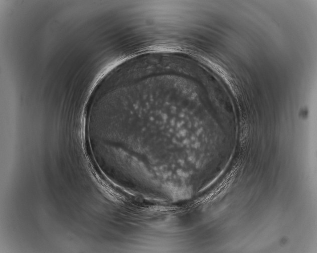 X0000101151179200806270936
