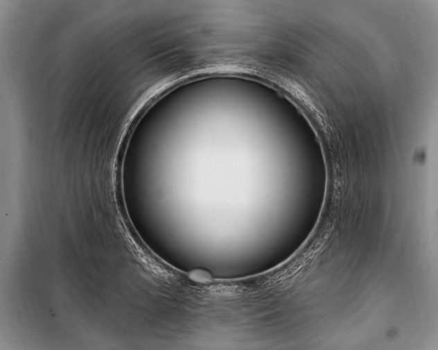 X0000101151181200806270936