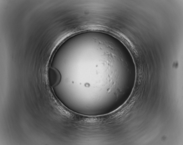 X0000101151182200806270936