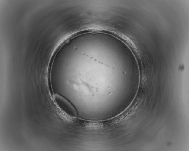 X0000101151183200806270936