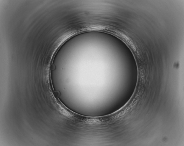 X0000101151186200806270936