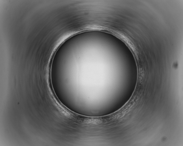 X0000101151187200806270936