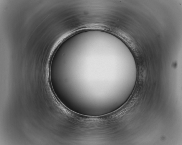 X0000101151188200806270936