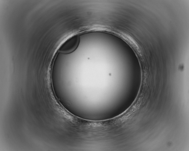 X0000101151190200806270936