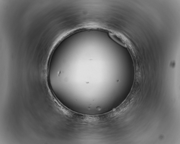 X0000101151191200806270936