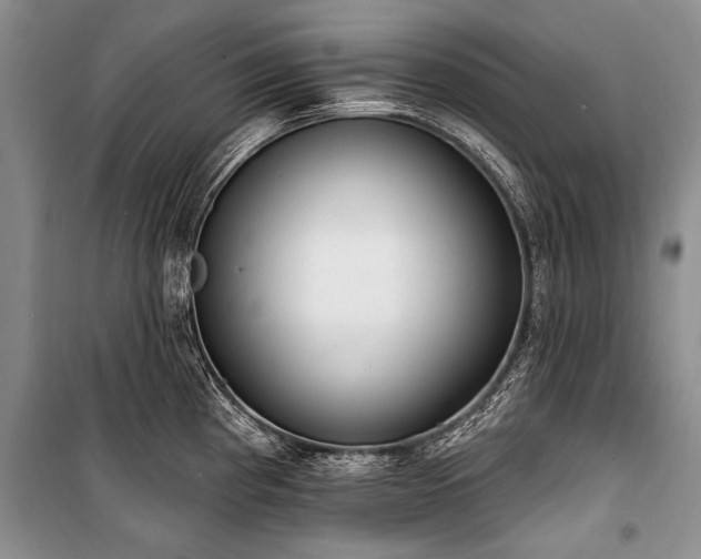 X0000101151193200806270936