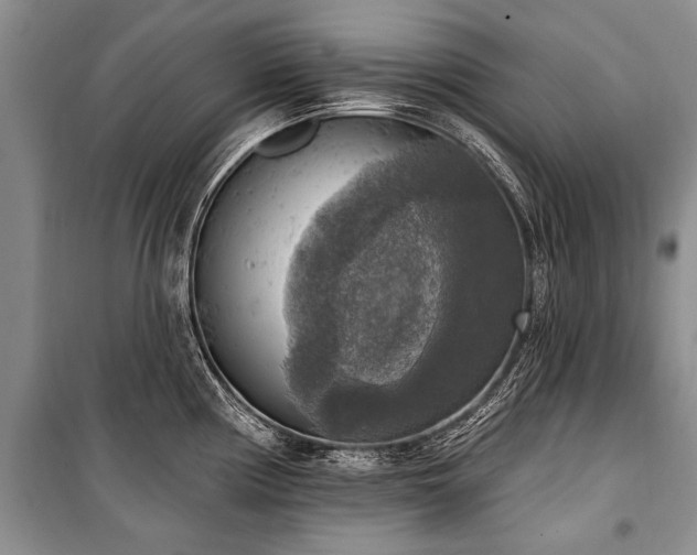 X0000101151194200806270936