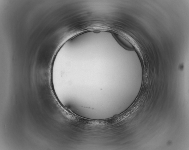 X0000101151195200806270936