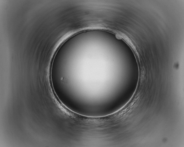 X0000101151197200806270936