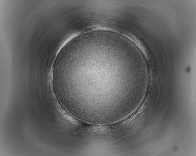 X0000101151198200806270936