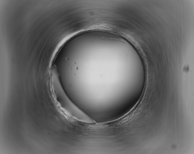 X0000101151200200806270936