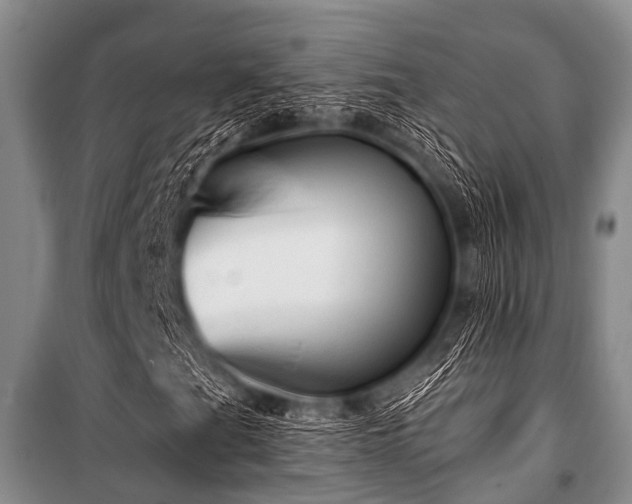 X0000101151201200806270935