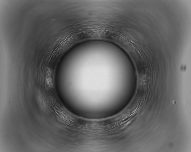 X0000101151202200806270935