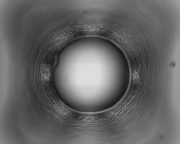 X0000101151204200806270935