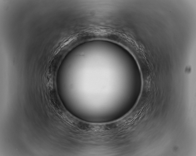 X0000101151205200806270935