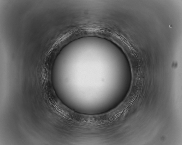 X0000101151207200806270935