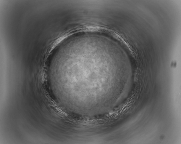 X0000101151208200806270935