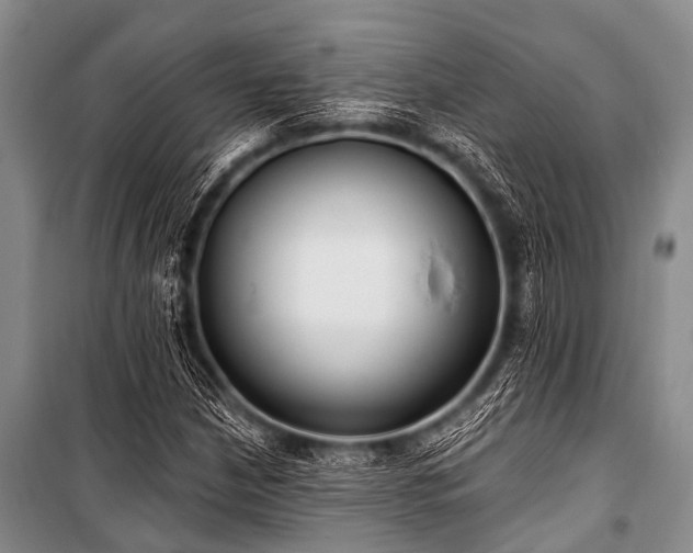 X0000101151210200806270935