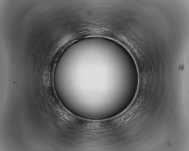 X0000101151211200806270935