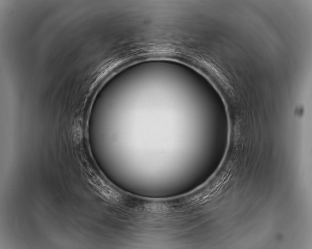 X0000101151212200806270935