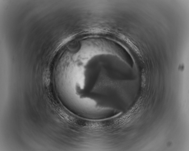 X0000101151213200806270935