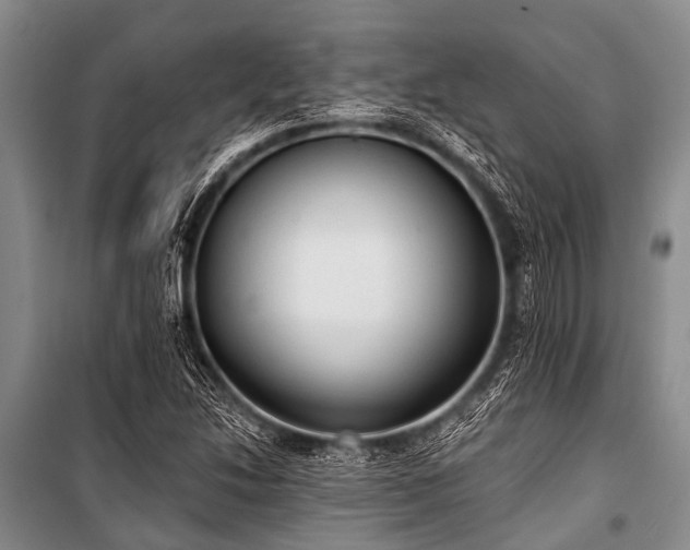 X0000101151214200806270935