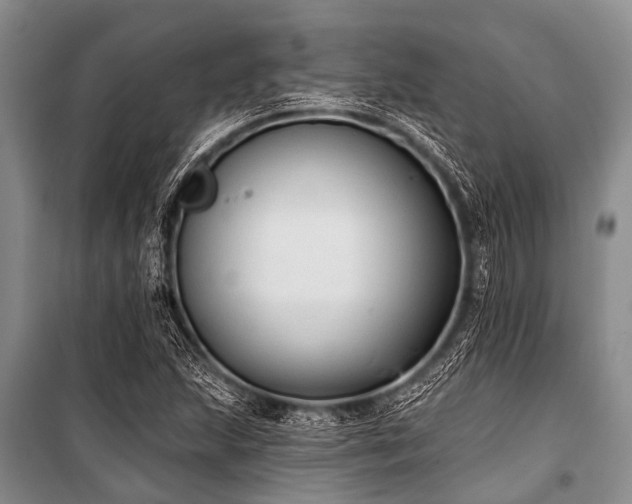 X0000101151215200806270935