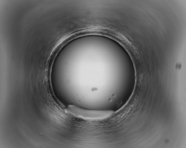 X0000101151216200806270935