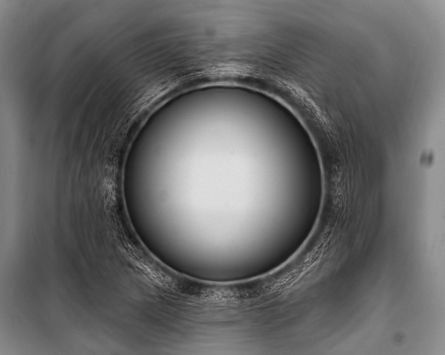 X0000101151217200806270935