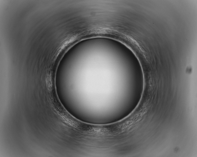 X0000101151218200806270935