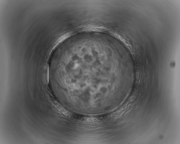 X0000101151219200806270935