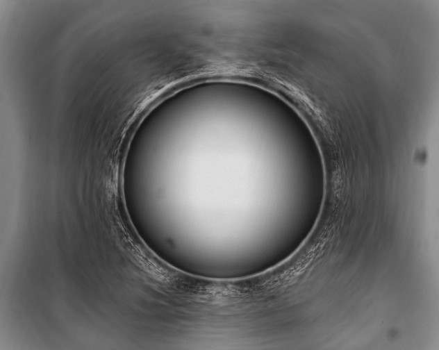X0000101151220200806270935
