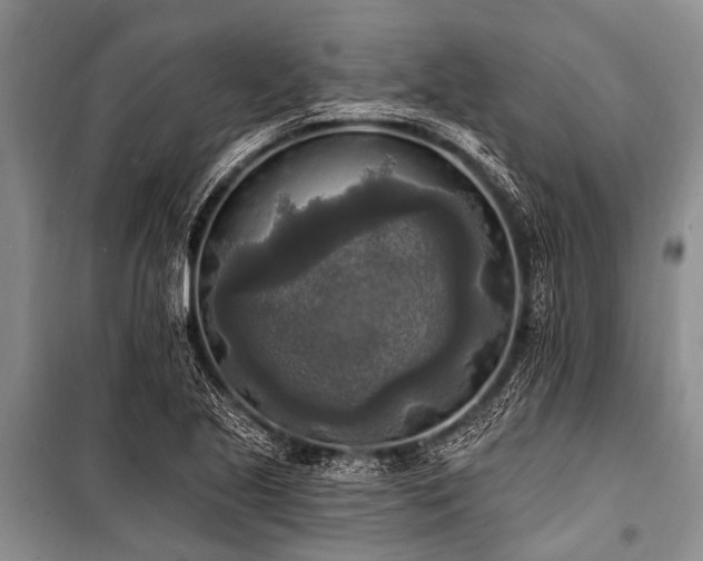 X0000101151221200806270935