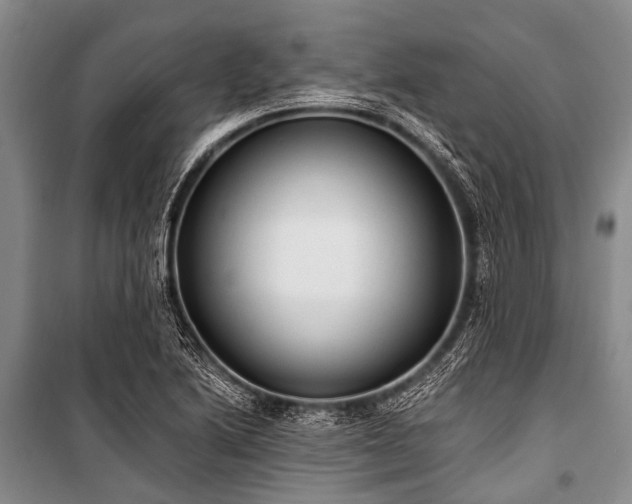 X0000101151222200806270935
