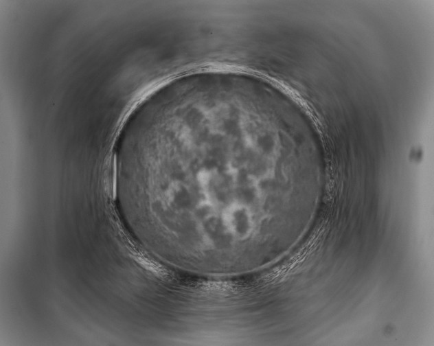 X0000101151223200806270935