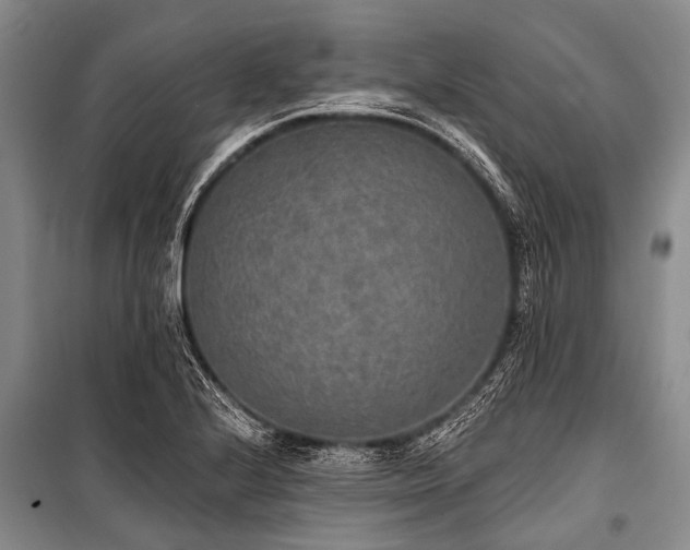 X0000101151224200806270935