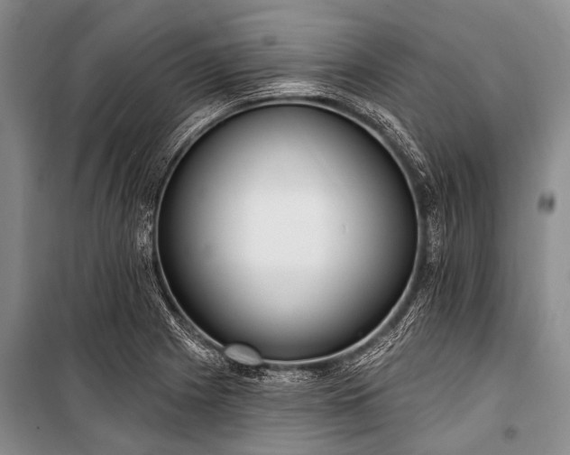 X0000101151225200806270935