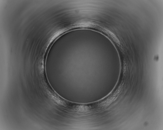 X0000101151226200806270935