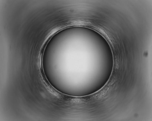 X0000101151227200806270935