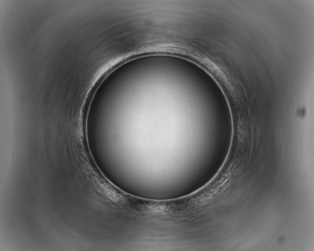 X0000101151230200806270935