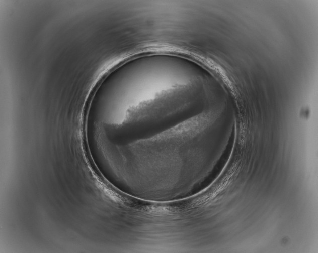 X0000101151231200806270936