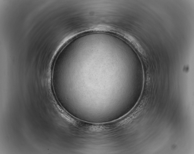 X0000101151232200806270936