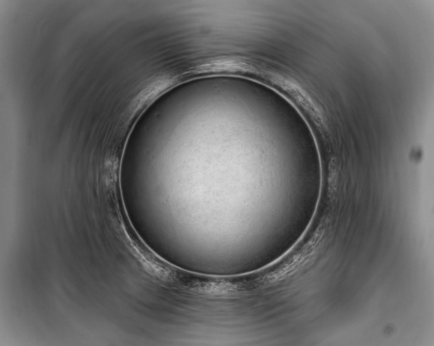 X0000101151233200806270936