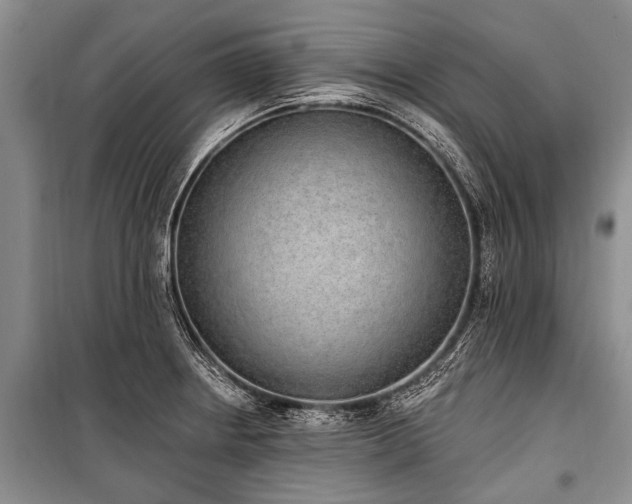 X0000101151234200806270936
