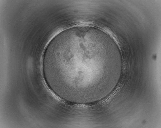 X0000101151235200806270936