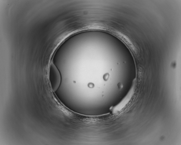 X0000101151236200806270936